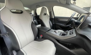 BYD KING 1.5 Dm-i Phev GL 2024/2025