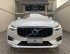 VOLVO XC60 2.0 T8 Hybrid Inscription AWD Geartronic 2019/2020